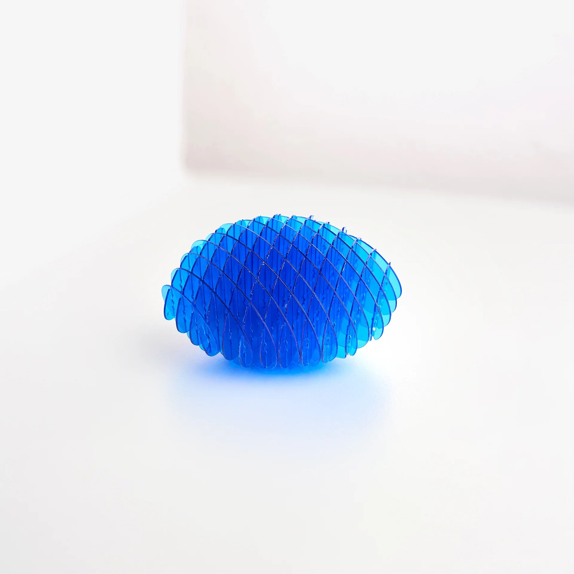 Fidget Worm Toy - Skillworld