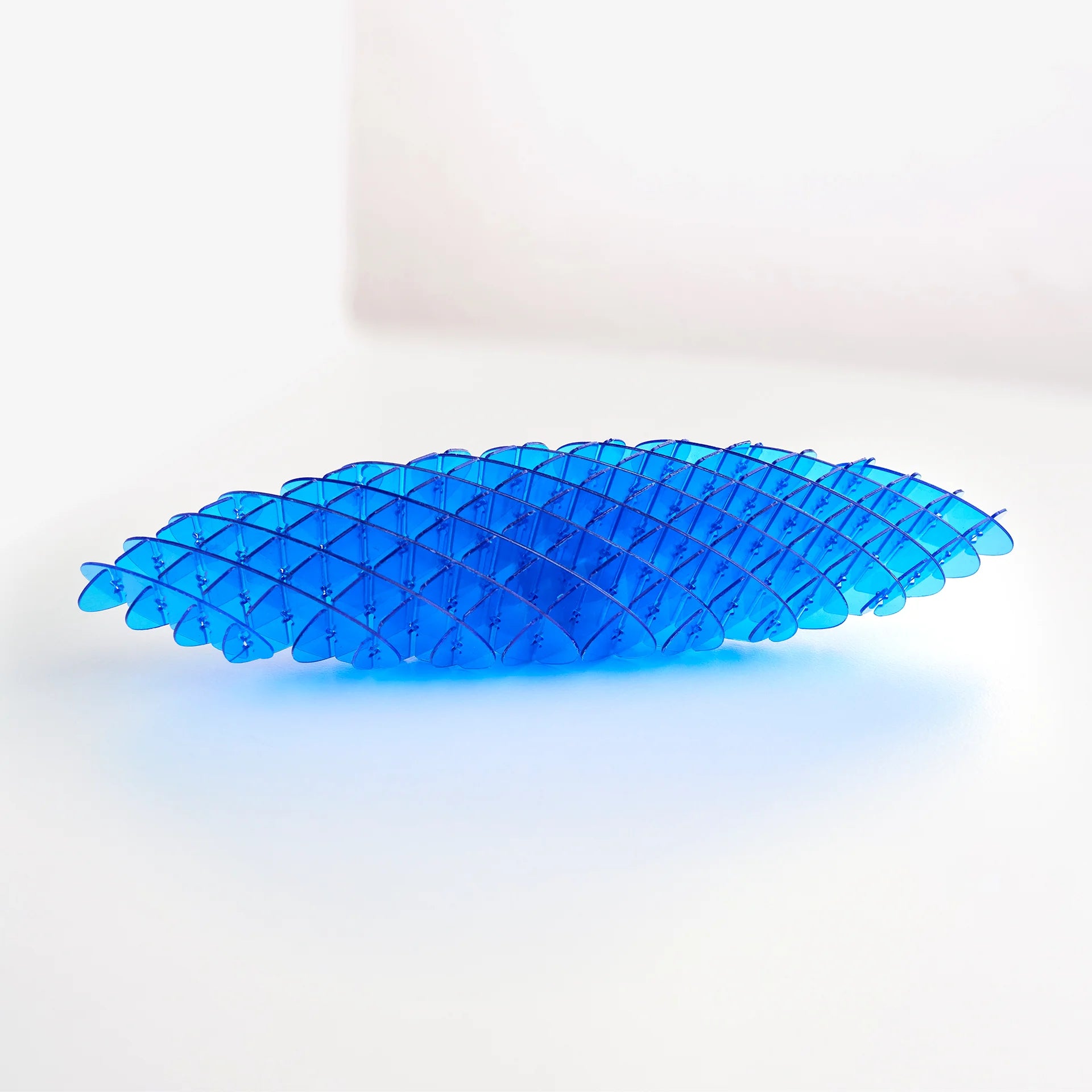 Fidget Worm Toy - Skillworld