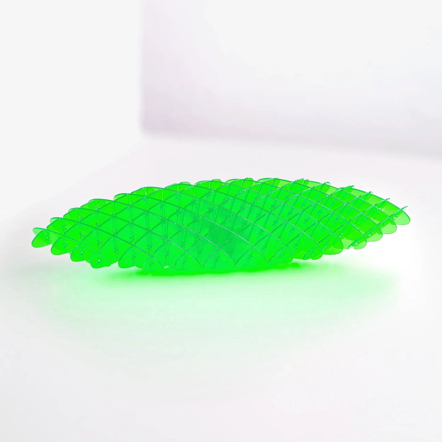 Fidget Worm Toy - Skillworld