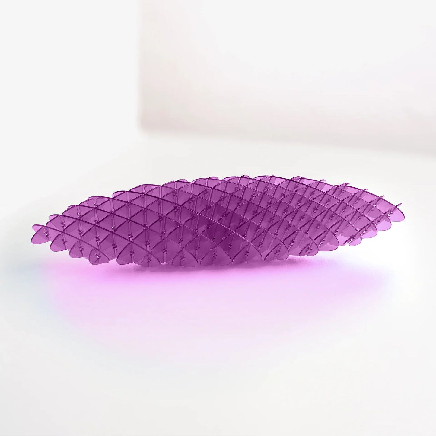 Fidget Worm Toy - Skillworld